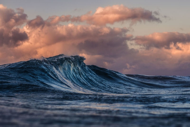 Bristol Bay