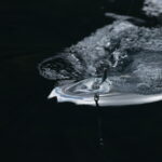 Coastal Springs Float Lodge 48 Coastal Springs Float Lodge BC fishing lodge image48