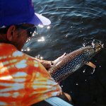 Cobham River Lodge Manitoba fishing lodge image7