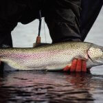 Alagnak Lodge Alaska fishing lodge image13