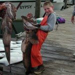 Alaska Fish On Charters Alaska fishing lodge image4