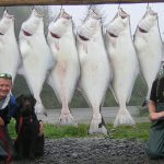 Alaska Fish On Charters Alaska fishing lodge image14