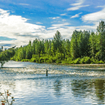 Wilderness Place Lodge Alaska fishing lodge image27