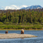 Alaska’s Gold Creek Lodge Alaska fishing lodge image23