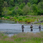Alaska’s Gold Creek Lodge Alaska fishing lodge image18