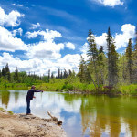 Alaska’s Gold Creek Lodge Alaska fishing lodge image8