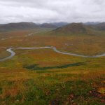 AlpenView Wilderness Lodge Alaska fishing lodge image21