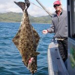 AlpenView Wilderness Lodge Alaska fishing lodge image19