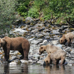 Anglers Lodge Alaska fishing lodge image61