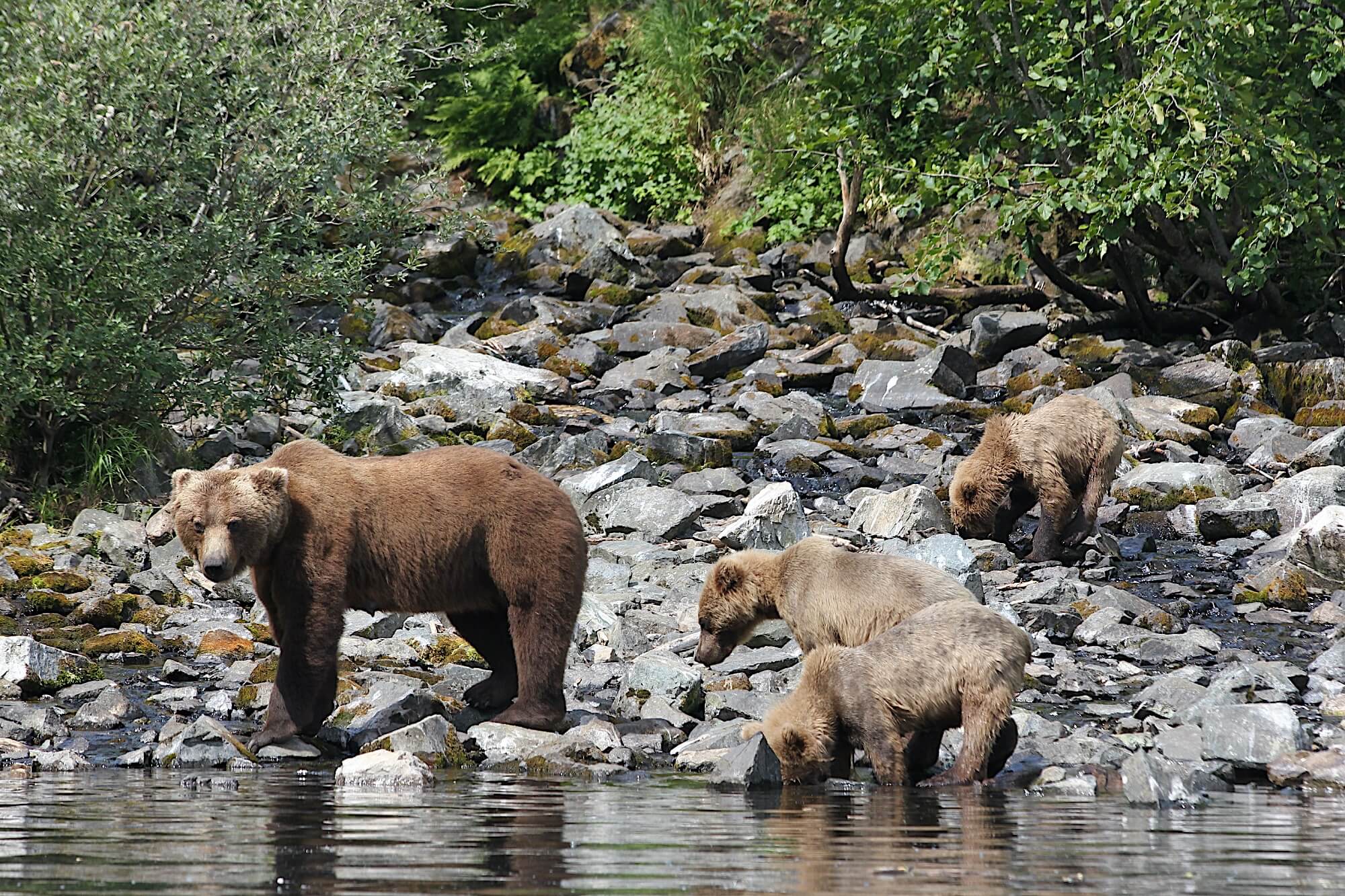 Interview with a Lodge Owner: Adam Cuthriell, FishHound Expeditions 5