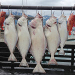 Anglers Lodge Alaska fishing lodge image55