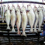 Anglers Lodge Alaska fishing lodge image54