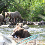 Anglers Lodge Alaska fishing lodge image23