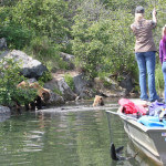 Anglers Lodge Alaska fishing lodge image19