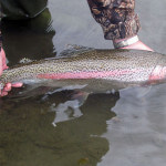 Aniak Three Rivers Lodge Alaska fishing lodge image19