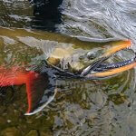 Alaska Rainbow Adventures Alaska fishing lodge image17