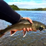 Alaska Rainbow Adventures Alaska fishing lodge image21