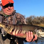 Alaska Rainbow Adventures Alaska fishing lodge image3