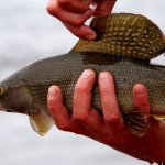 Alaska Rainbow Adventures Alaska fishing lodge image43