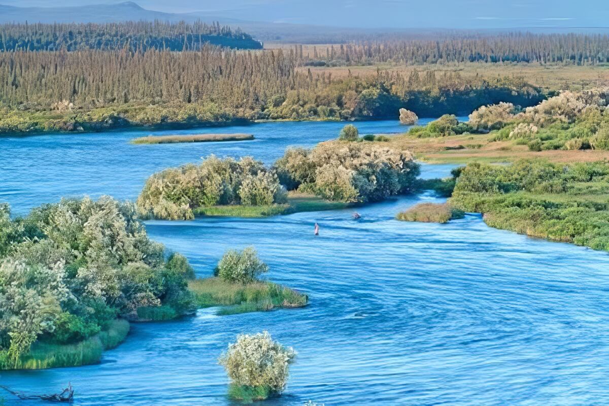 Fly fishing lodge Alaska