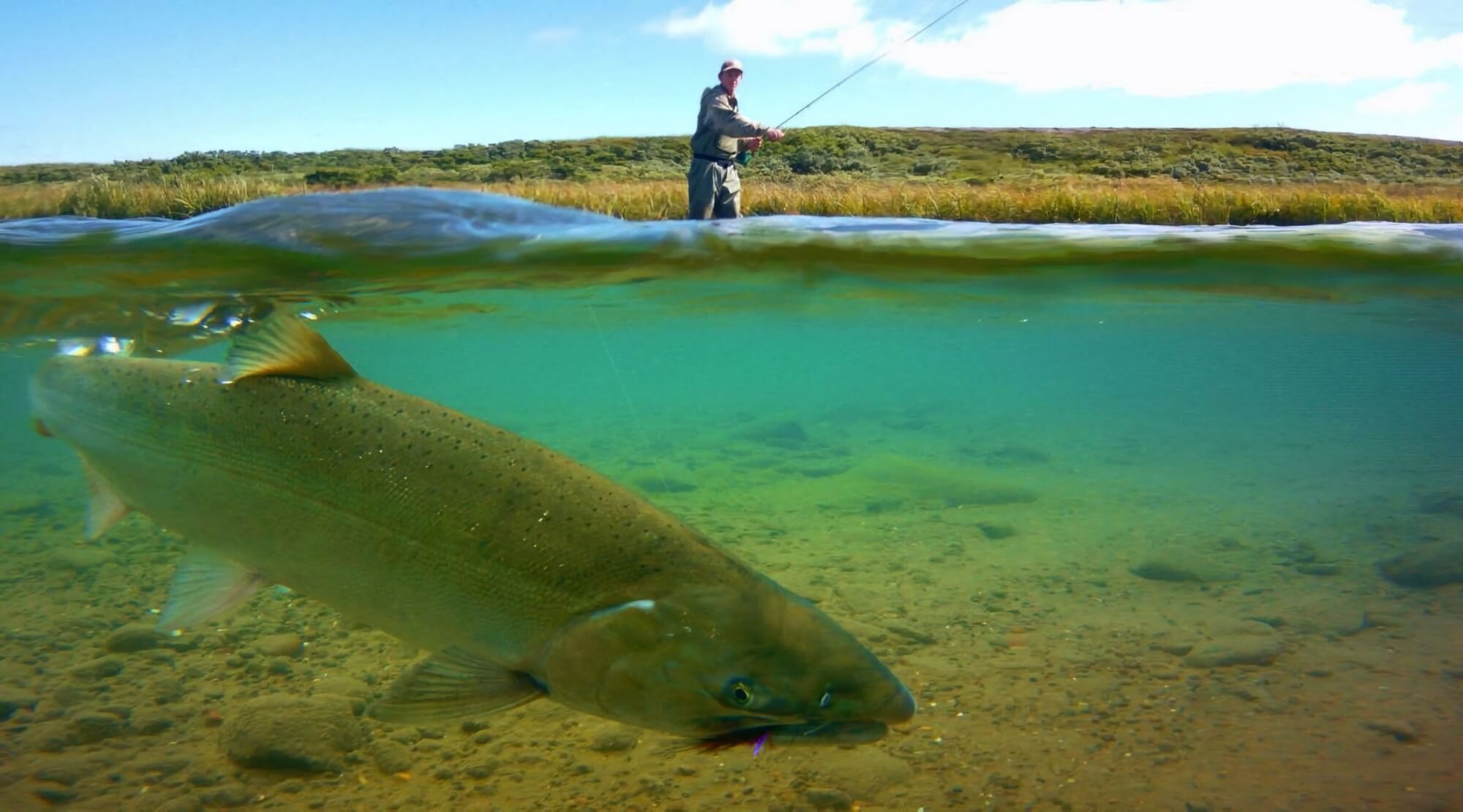 The Top 10 Best Fishing Lodges in Bristol Bay, Alaska 1 fishing lodges in bristol bay