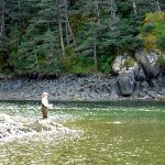 Bristol Bay Sportfishing Alaska fishing lodge image5