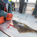 Cascade Creek Lodge Alaska fishing lodge image30