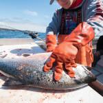 Cascade Creek Lodge Alaska fishing lodge image13