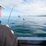 Cascade Creek Lodge Alaska fishing lodge image15