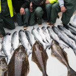 Cascade Creek Lodge Alaska fishing lodge image17