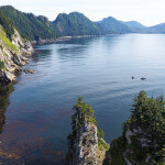 Fireweed Lodge Alaska fishing lodge image2