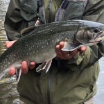FishHound Expeditions Alaska fishing lodge image21