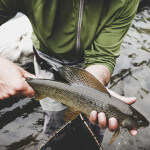 FishHound Expeditions Alaska fishing lodge image42