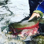FishHound Expeditions Alaska fishing lodge image48