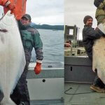 Glacier Bay Eagles Nest Lodge Alaska fishing lodge image10
