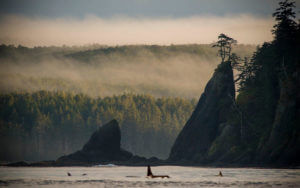 Haida Gwaii Canada fishing lodges and resorts