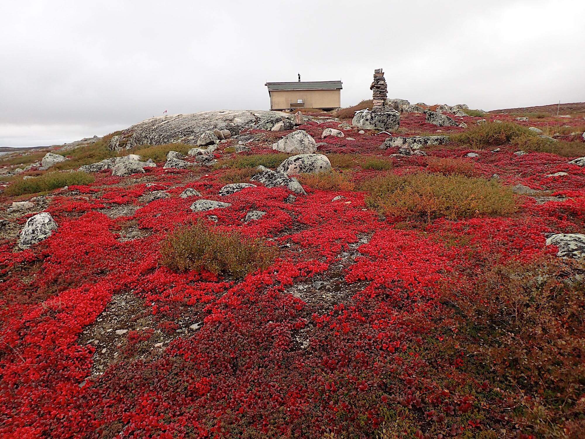 Dream Destinations: In the Northwest Territories of Canada, Look for Aylmer Lake Lodge 4 northwest territories canada