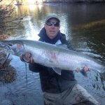 Glacier Bear Lodge Alaska fishing lodge image3