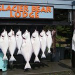 Glacier Bear Lodge Alaska fishing lodge image2