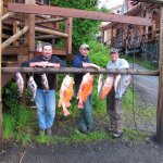 Island Point Lodge Alaska fishing lodge image6