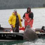 Island Point Lodge Alaska fishing lodge image5
