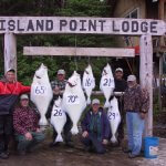 Island Point Lodge Alaska fishing lodge image3
