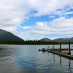 Island Point Lodge Alaska fishing lodge image10