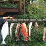 Island Point Lodge Alaska fishing lodge image11