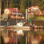 Island Point Lodge Alaska fishing lodge image1