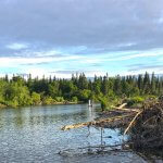 Jake’s Nushagak Salmon Camp Alaska fishing lodge image8