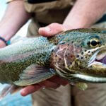 Kenai Riverside Fishing Alaska fishing lodge image2