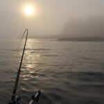 King Pacific Lodge BC fishing lodge image27