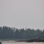 King Pacific Lodge BC fishing lodge image25