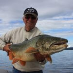 Kluane Wilderness Lodge Yukon fishing lodge image8